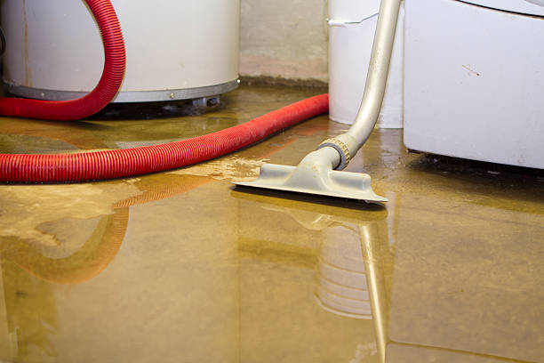 Best Water damage repair service  in USA